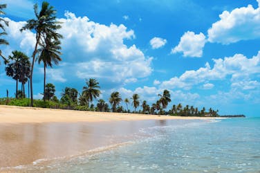 Trincomalee Bay en Nilaveli Beach 2-daagse tour vanuit Kandy